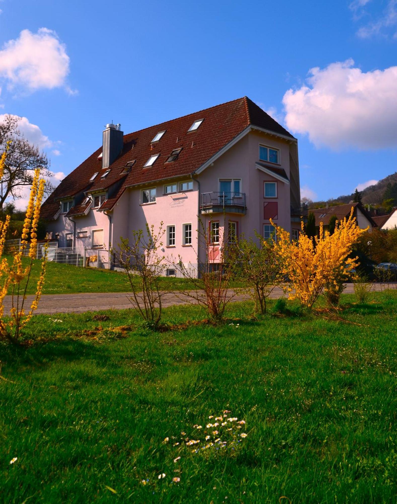 Castell Hotel & Restaurant Leinsweiler Bagian luar foto